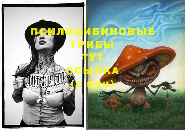 эйфоретик Алексин