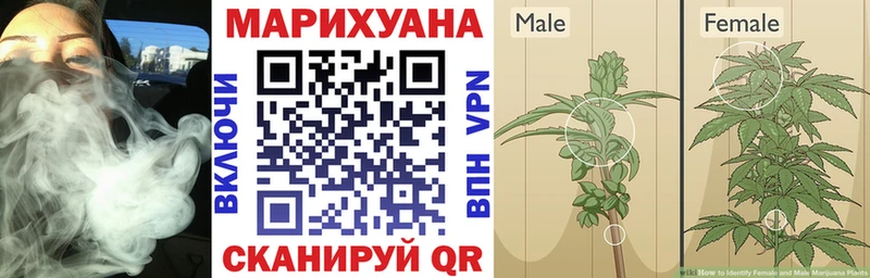 как найти наркотики  Орлов  Бошки Шишки THC 21% 